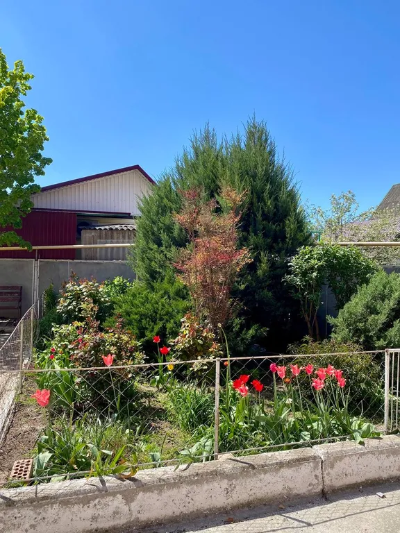 Уютная современная квартира в центре города