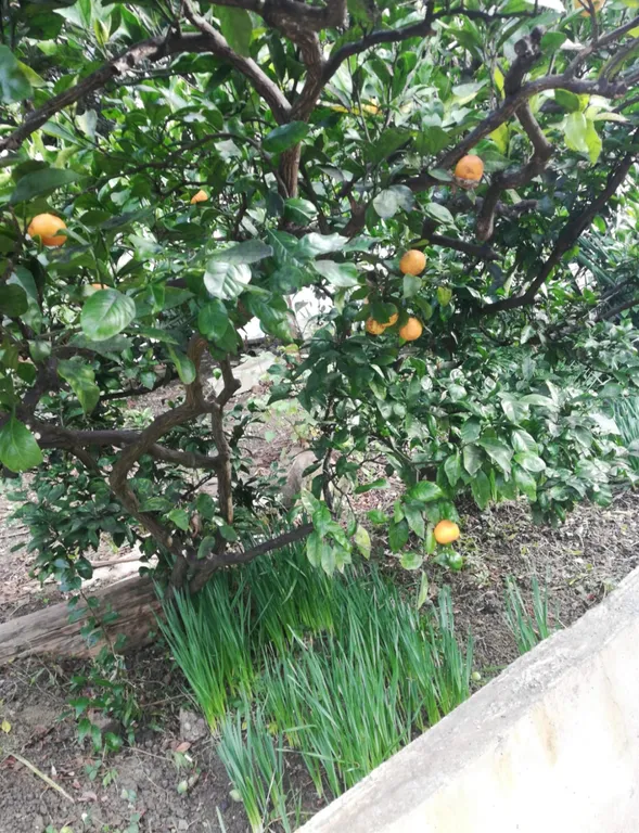 Комната №6 "Стандарт без балкона" на 3 этаже