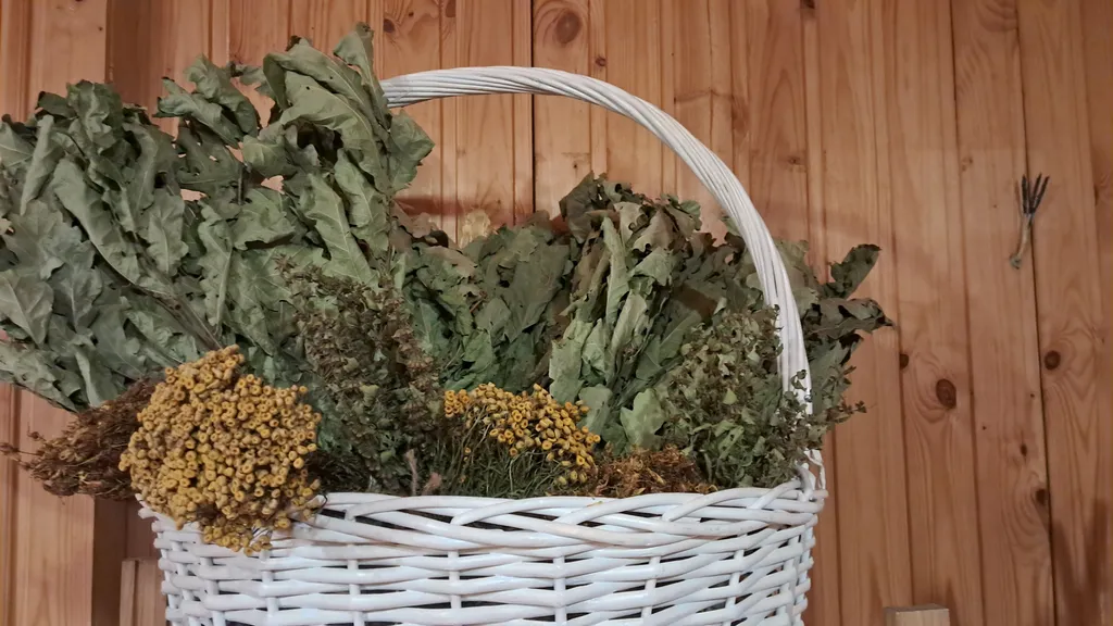 Коттедж Дом в лесу с баней и спортзалом — Горышкино