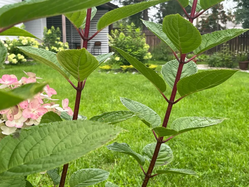 Коттедж оберег в дали от шума и суеты