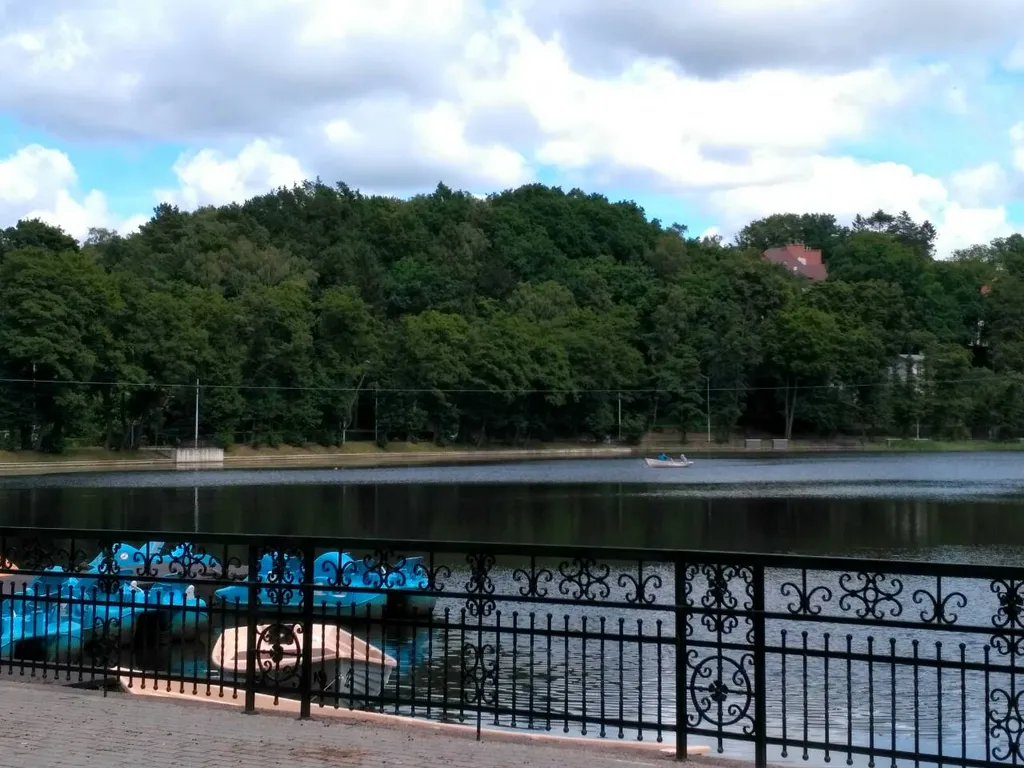 Квартира Апартаменты Комфорт — Светлогорск