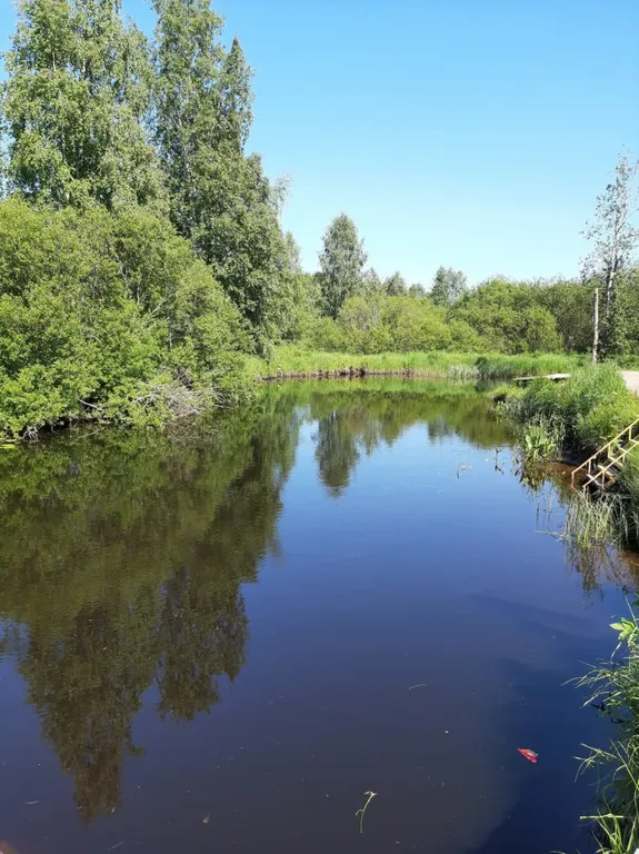 Коттедж рядом с Выборгом