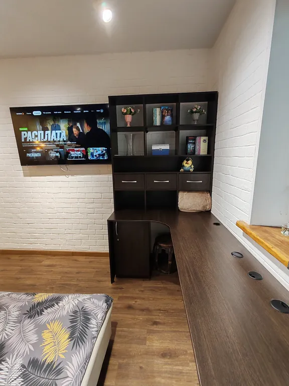 Большая студия с видом на Обь