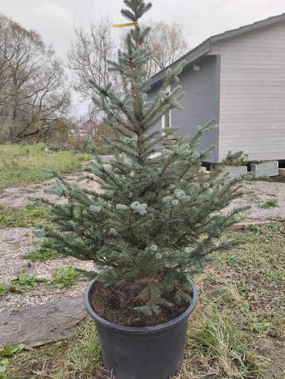 Дом у реки Ленинские горки, рыбалка, лес