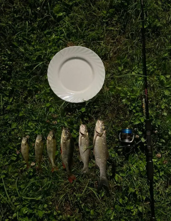 Уютный дом на берегу реки