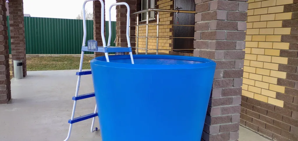 Дом гостевой "Борковкино" с двумя спальнями. Размещение гостей .