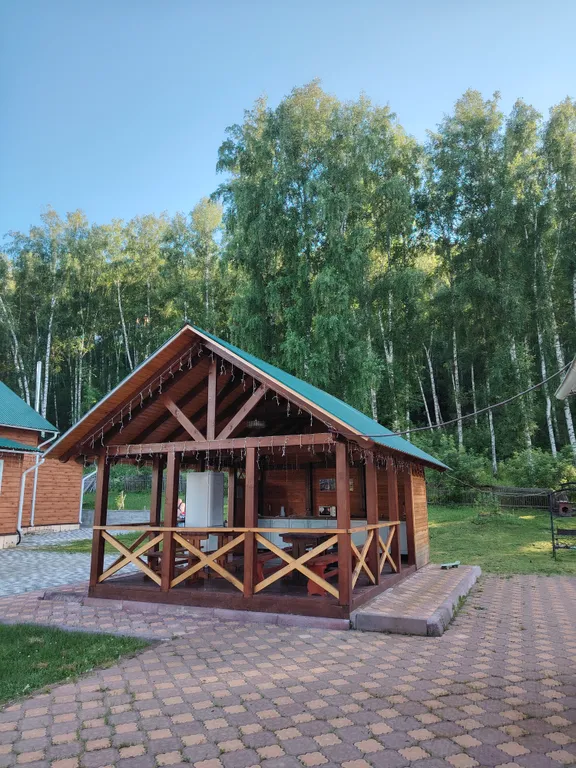 Благоустроенный дом 100кв.м с березовым лесом на территории.