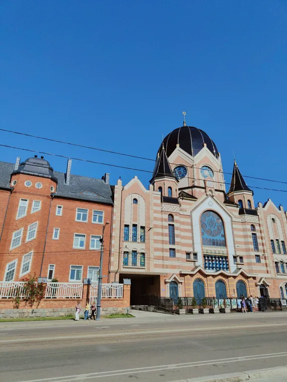 Квартира Уютная квартира с птичками в сердце Калининграда — Калининград