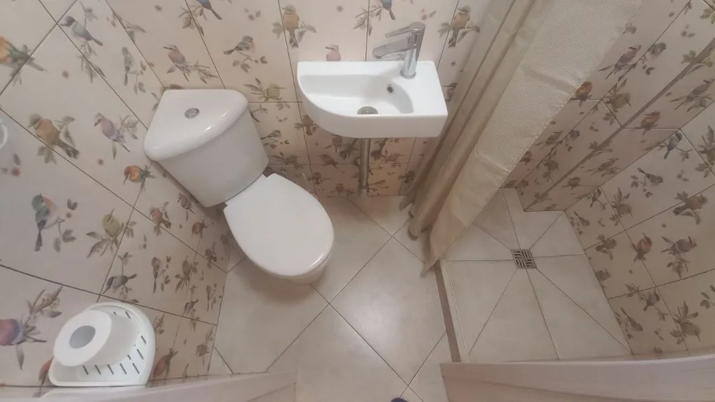 Дом с сауной на краю леса