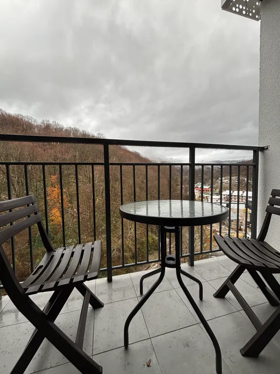 Студия с видом на гору