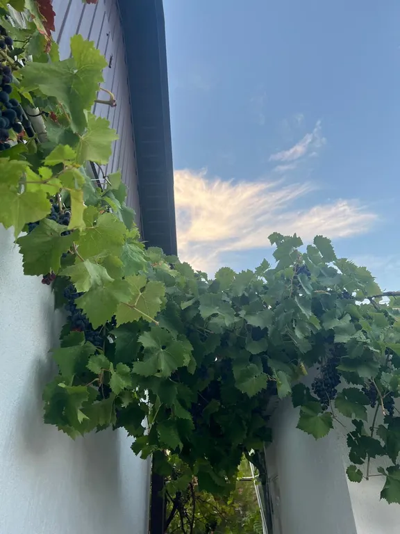 Комната Эконом в доме на Крылова