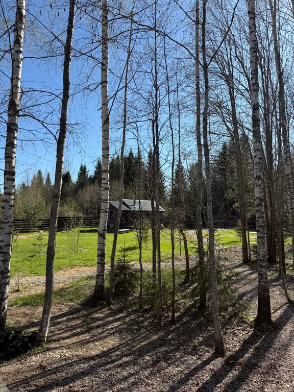 Дом и юрта на Валдае