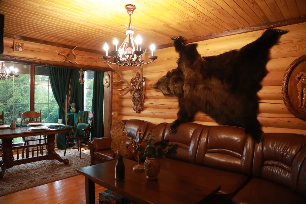 Дом шале Седельниково