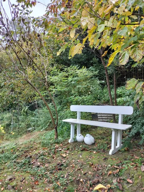 Уютный дом для большой семьи или компании в окружение сада