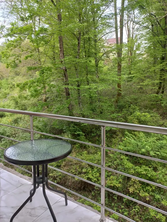 Квартира Уютная квартира с прекрасным видом на лес — Раздольное