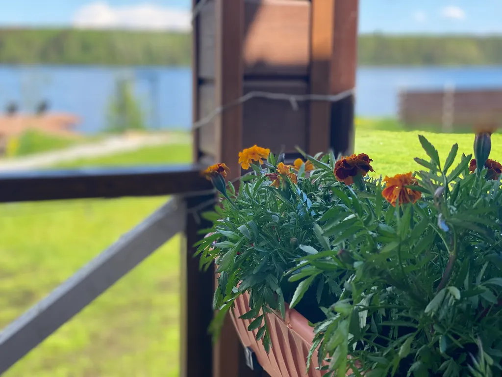 4-комнатный Дом