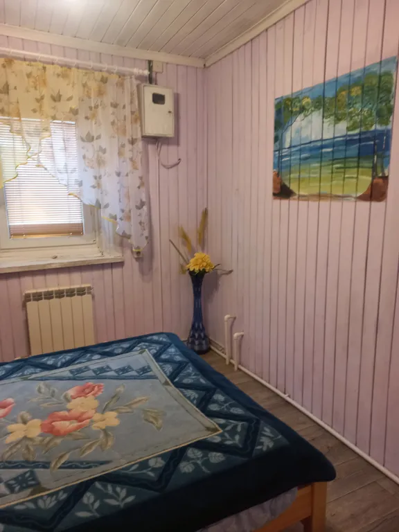 Коттедж Домик у озера 2 — Веськово