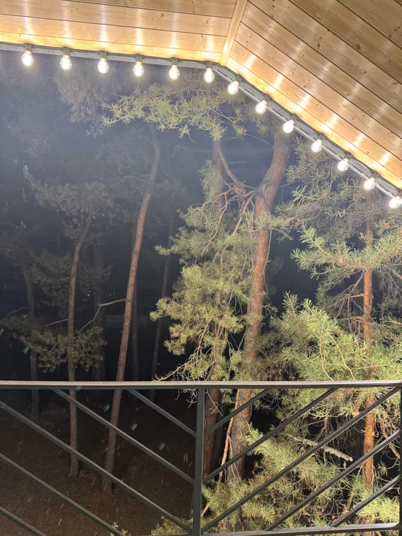 Vip house