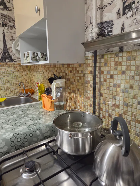 Двухкомнатная квартира рядом с парком Монрепо