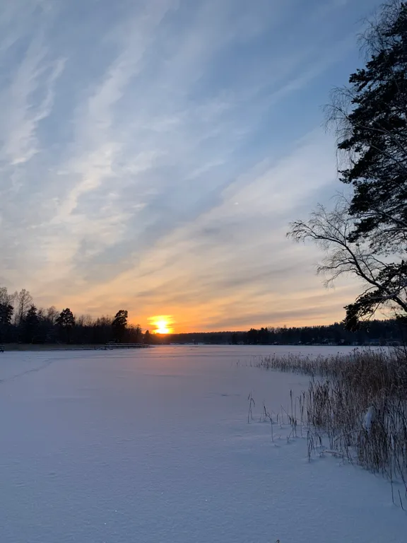 Haavejärvi - озеро мечты! Уютный дом на берегу озера в сосновом лесу