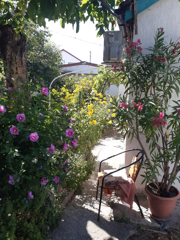 Уютный двухместный домик с тенистым двором