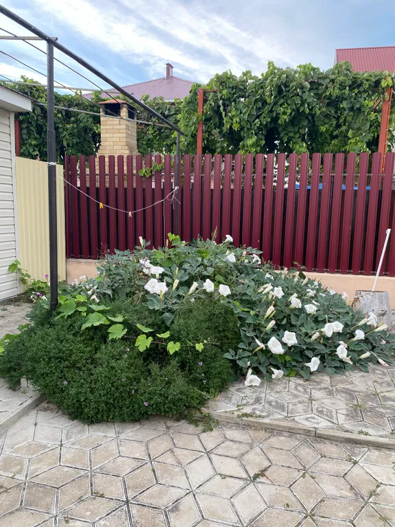 Дом под ключ