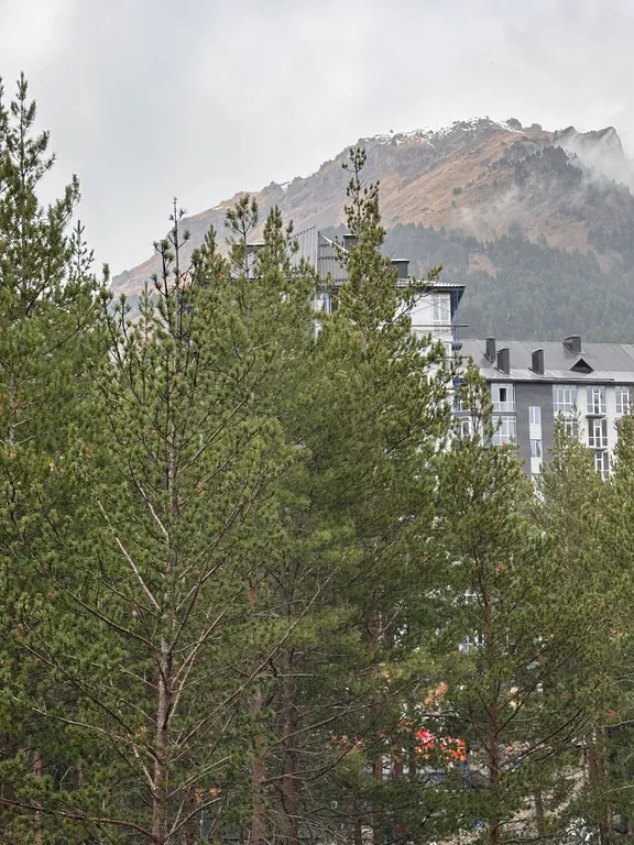 Видовая квартира в Терсколе