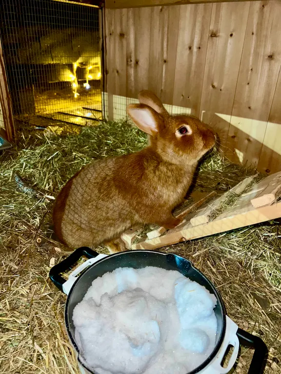 VIP жилье с видом на Байкал 2