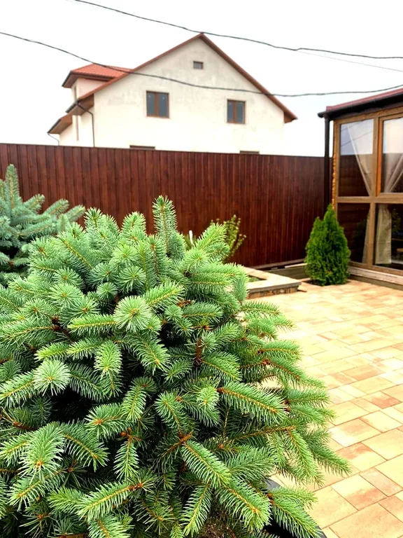 Уютная студия в Бахчисарае