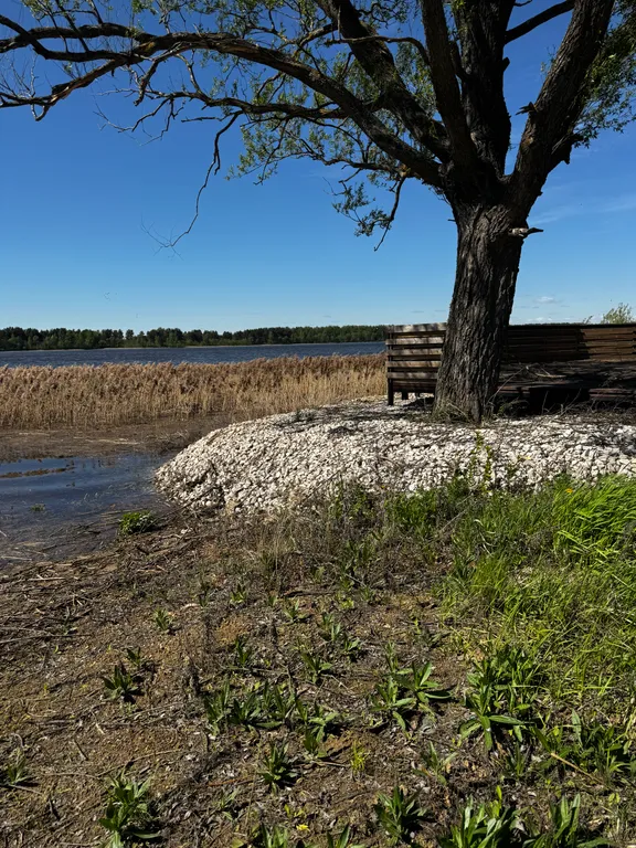 Дом на берегу Волги в живописном месте