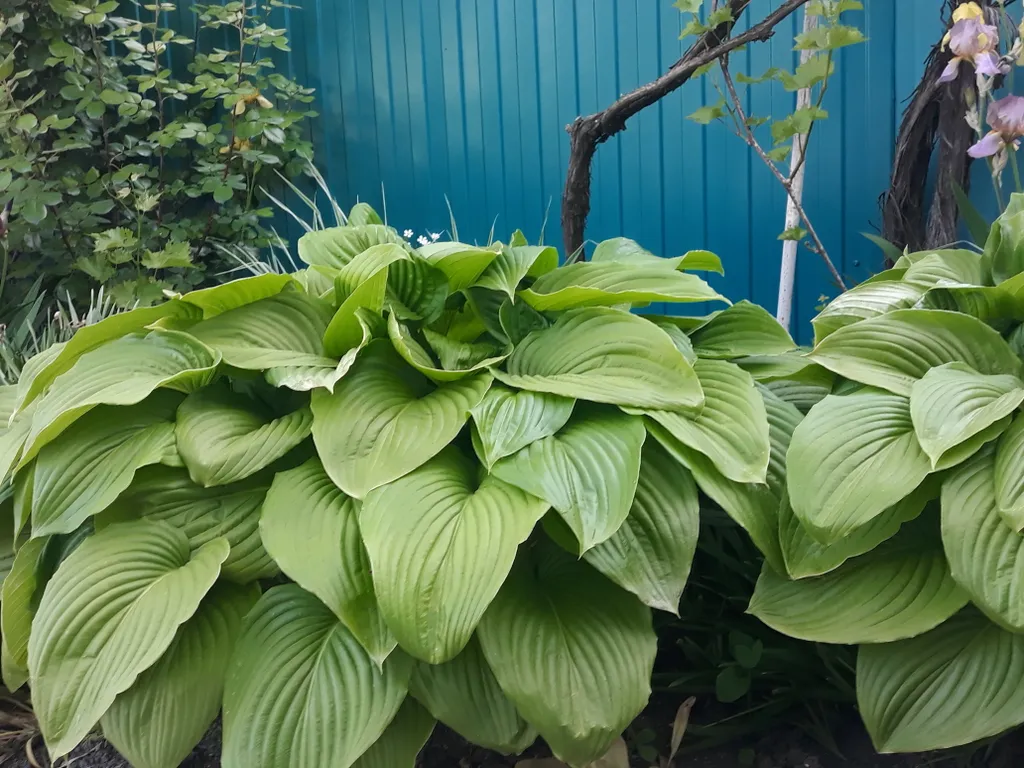 Уютный дом под ключ