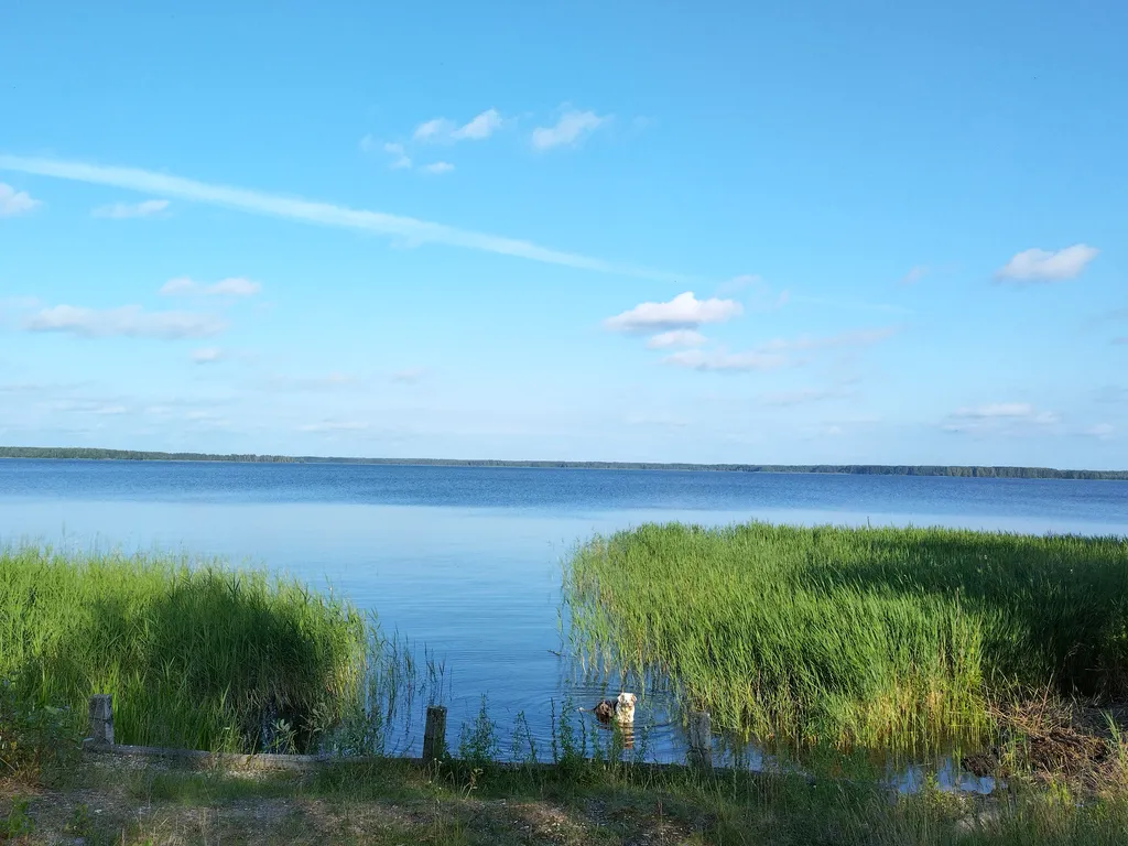 Дом на берегу Вышневолоцкого водохранилища