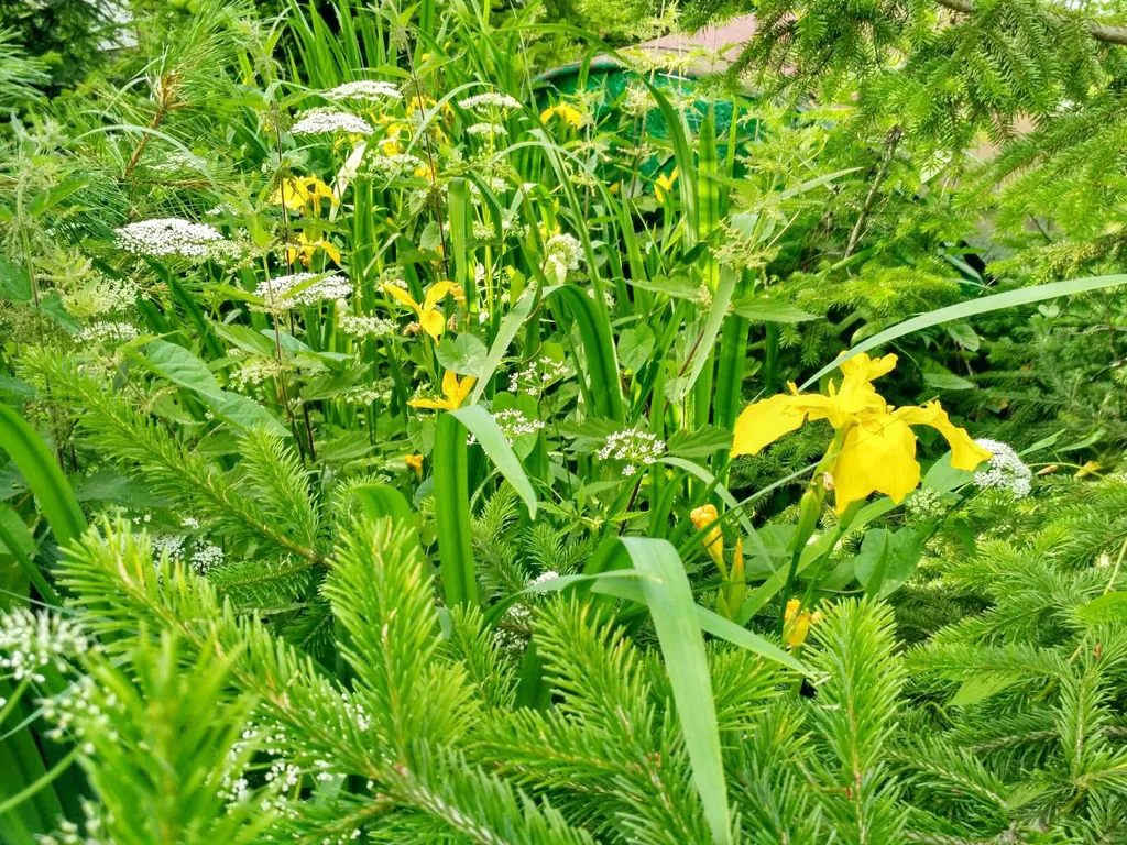 Гостевой дом Вуокса-хилл