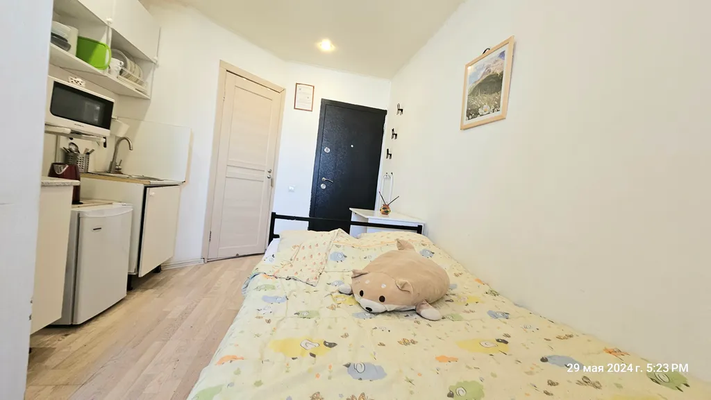 Квартира Квартира Качественный, бюджетный вариант у метро Комендантский проспект — Санкт-Петербург