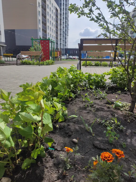 Квартира Солнечная и уютная квартира в деловом центре города — Красноярск