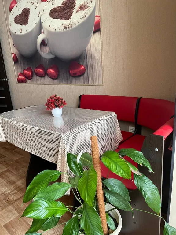 Светлая, просторная квартира в лучшем, спокойном районе, в центре