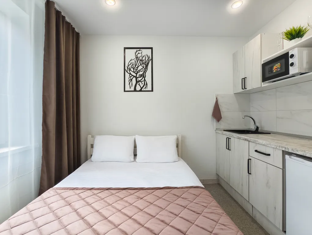 Квартира - студия "2 Весны"