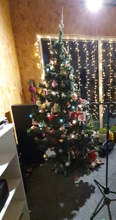 Коттедж FLIGELMUZ (Загородный Музыкальный Флигель). — Северская