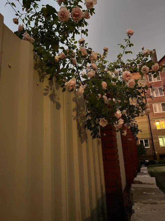 Квартира-студия в частном доме — аренда посуточно в Зеленоградск