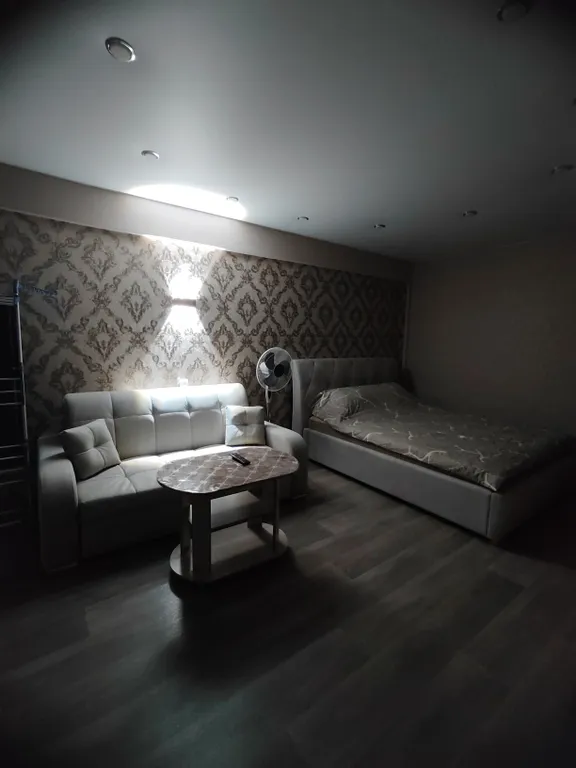 Чистая и уютная студия для отдыха и времяпровождения