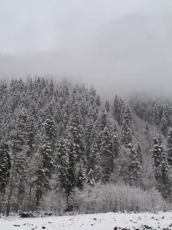 Квартира-студия с видом на горы