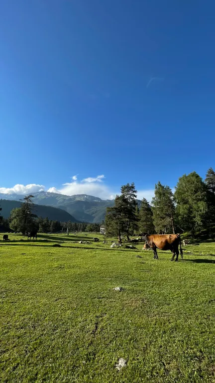 Уютное шале в горах