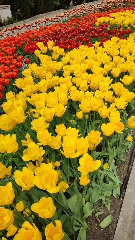 Квартира 1-комнатная Квартира — Севастополь