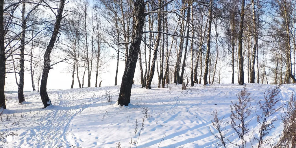 Коттедж Домик на море — Можайск