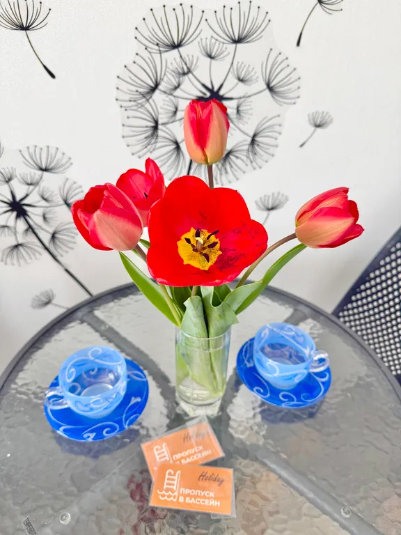 Новая уютная 1-комнатная квартира в Холидей Хаус — аренда посуточно в Сукко