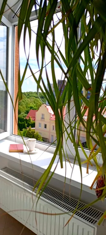 2-комнатная Квартира — аренда посуточно в Пионерский