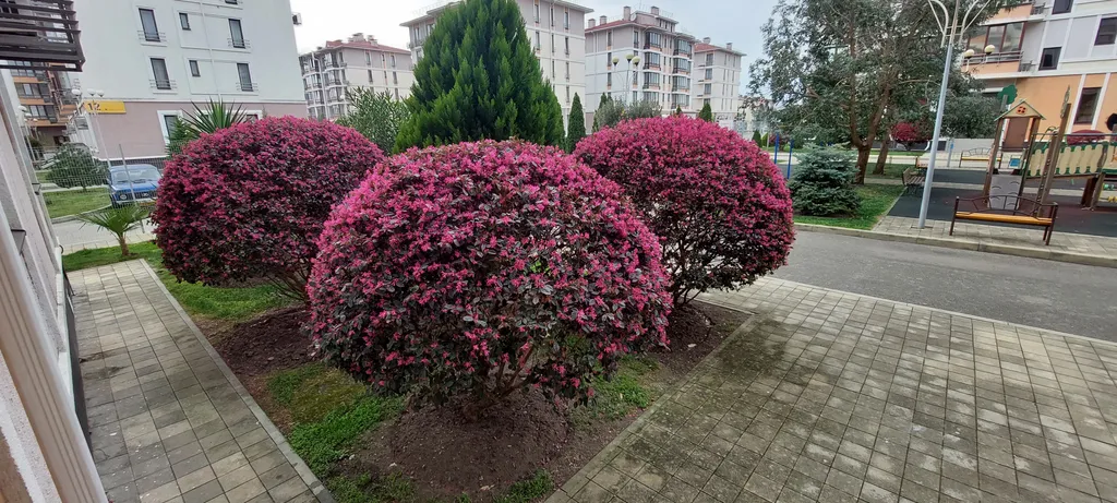 Квартира Уютные апартаменты — Сириус