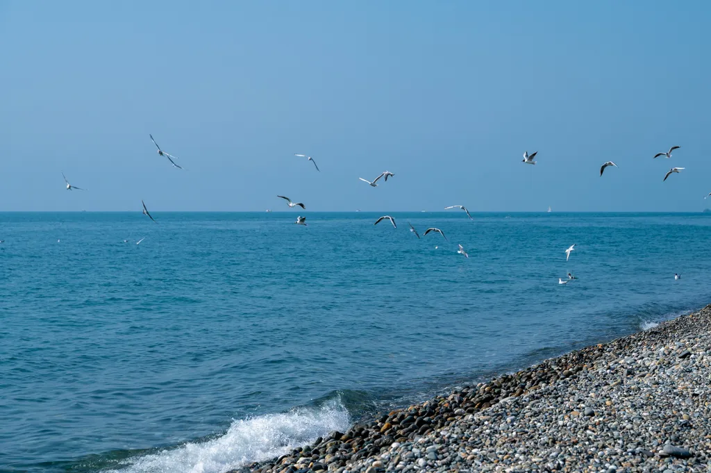 Арт Лайт Сити апартамент Коэльо