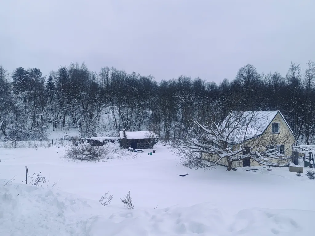 Выход из суеты - не дача Бобёр и Соловьи