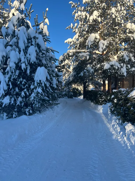 Дом синь-камень